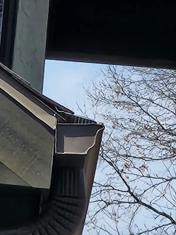 Gutter Maintenance